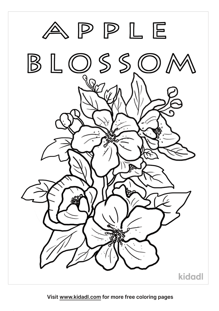 Apple Blossom Coloring Pages Free Flowers Coloring Pages Kidadl