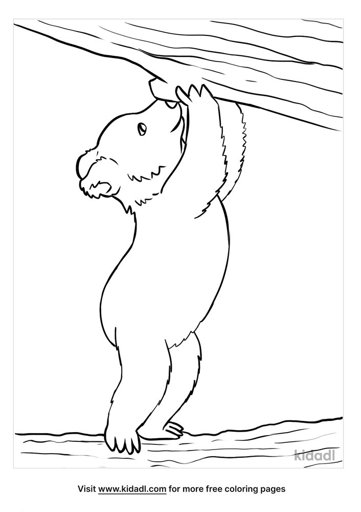 Baby Bear Coloring Pages Free Animals Coloring Pages Kidadl