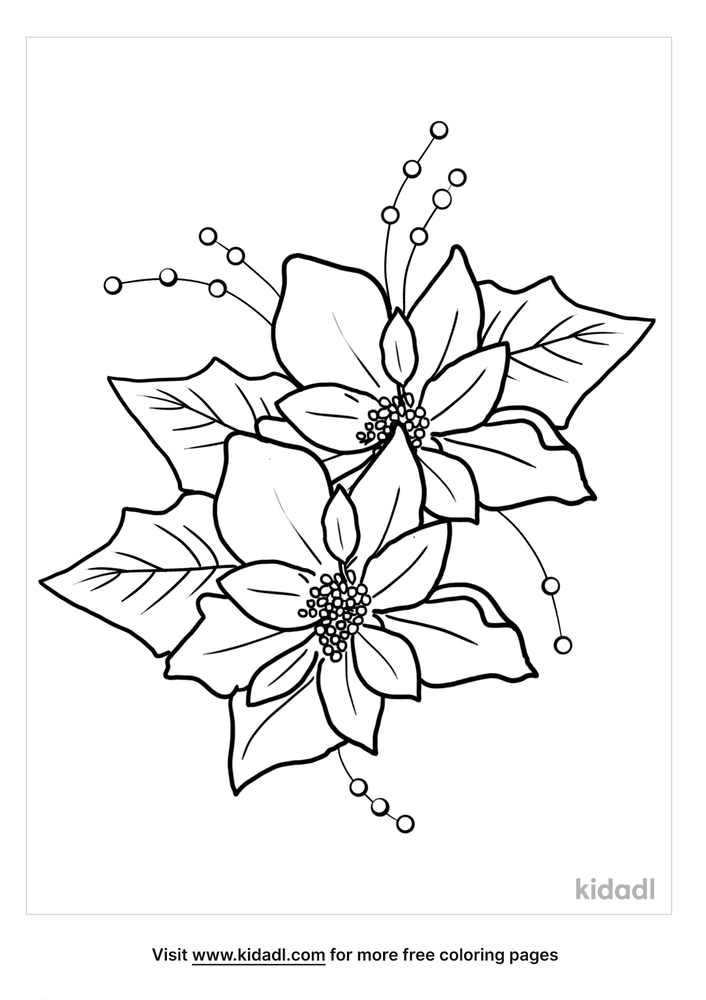 Christmas Flowers Printable Coloring Pages / Free Printable Flower
