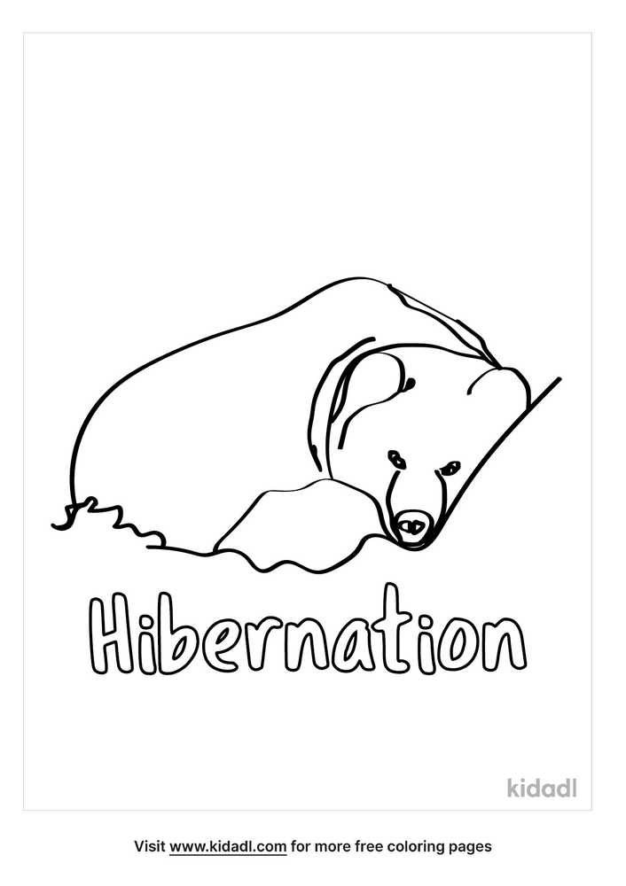 550 Free Printable Coloring Pages Hibernating Animals  Free