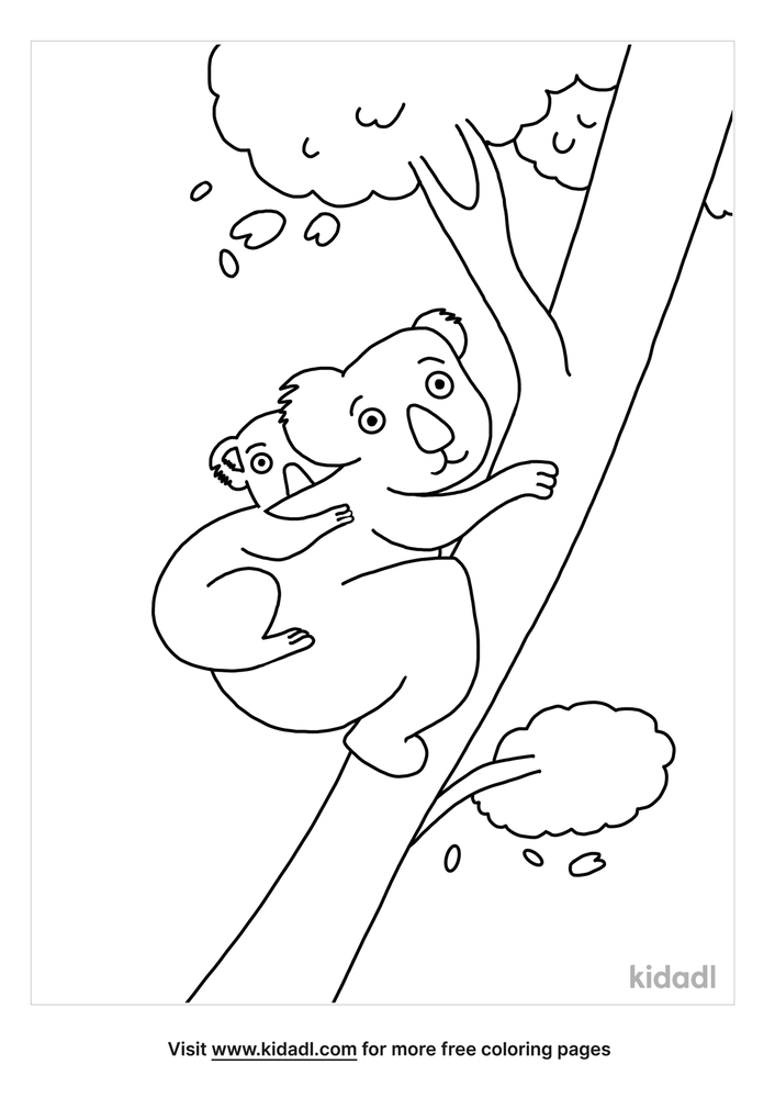 Koala Bear Coloring Pages Free Animals Coloring Pages Kidadl