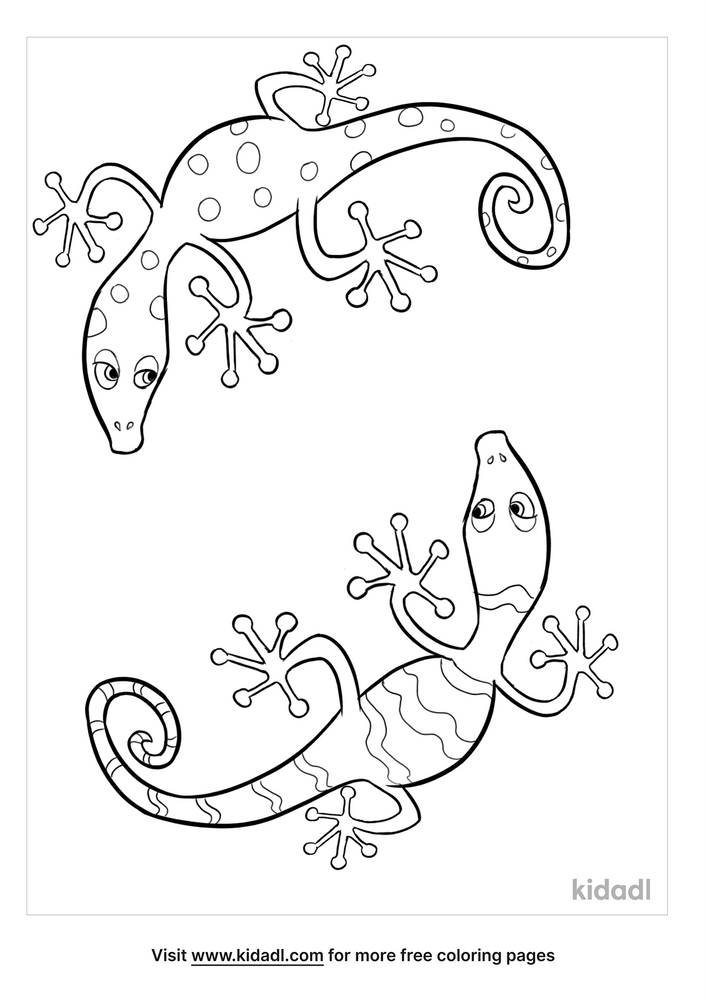 Newt Coloring Pages