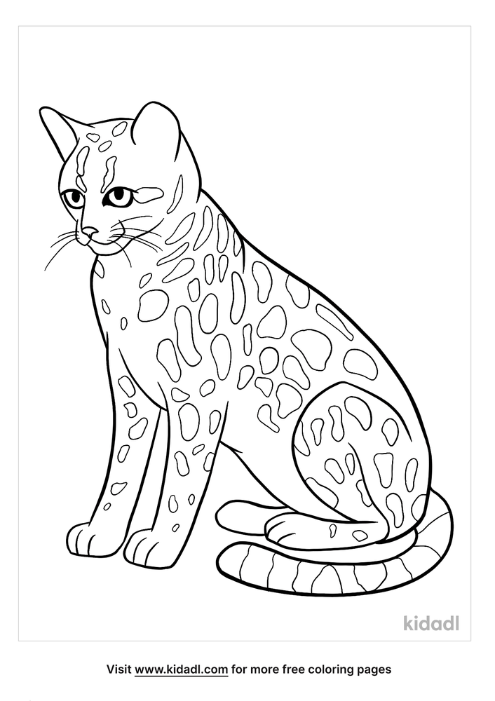 Baby Ocelot Coloring Pages Coloring Data Central