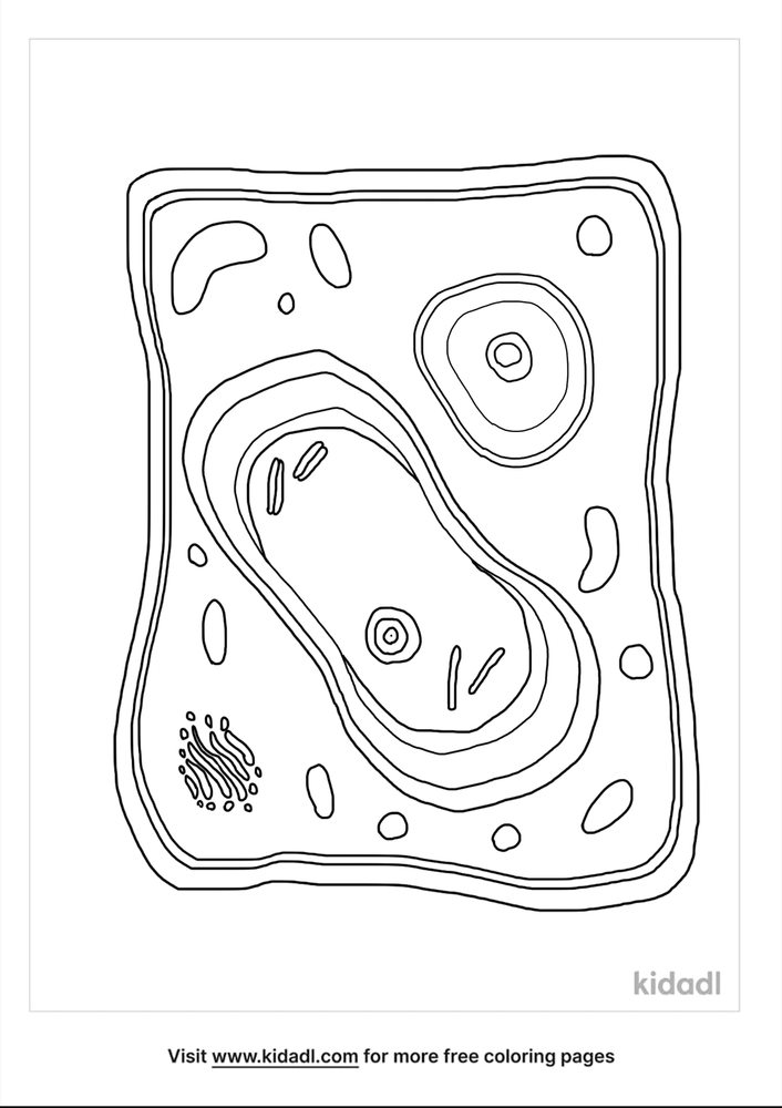 Plant Cell Coloring - Cells 1 Plant Cell Coloring Worksheet With