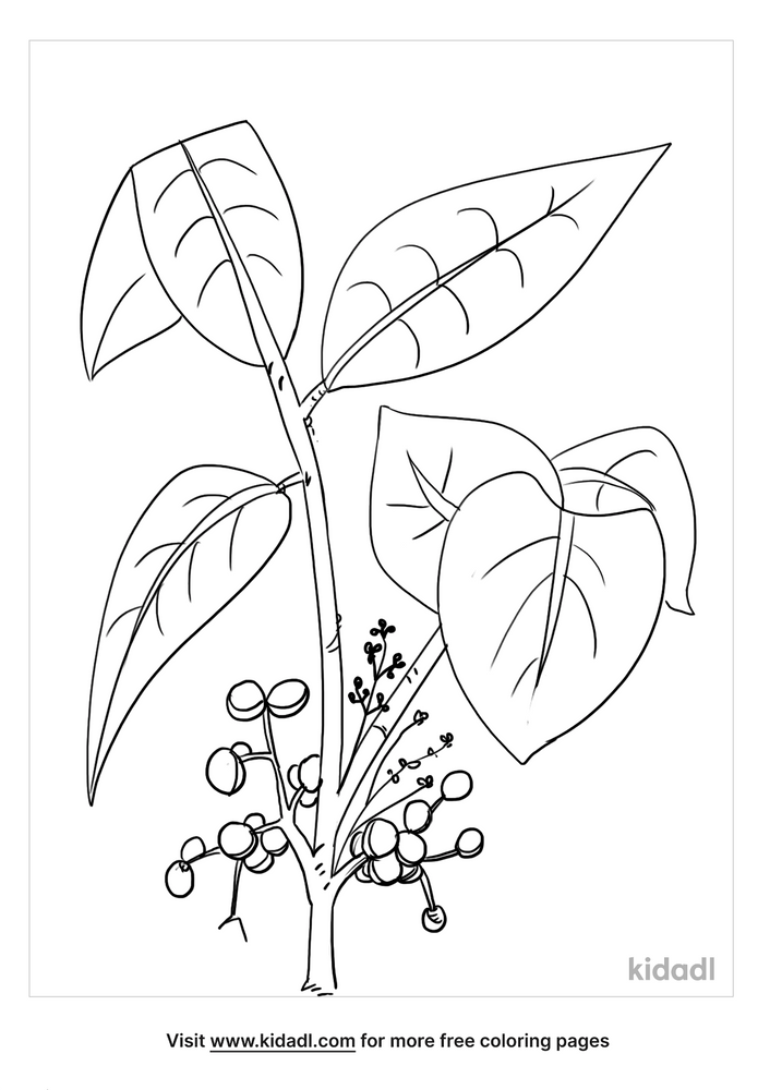 Poison Ivy Coloring Pages Free Plants Coloring Pages Kidadl