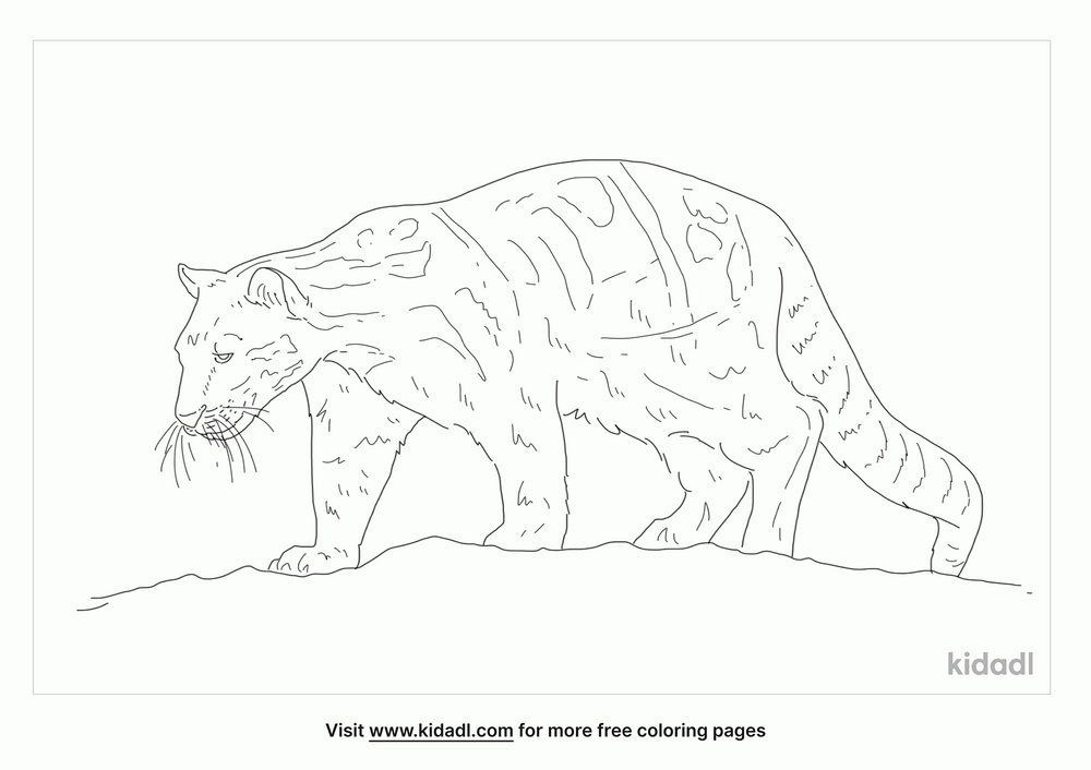 Sunda Clouded Leopard Coloring Page | Free Animals Coloring Page | Kidadl