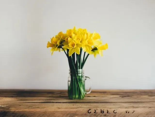 Daffodil grocer