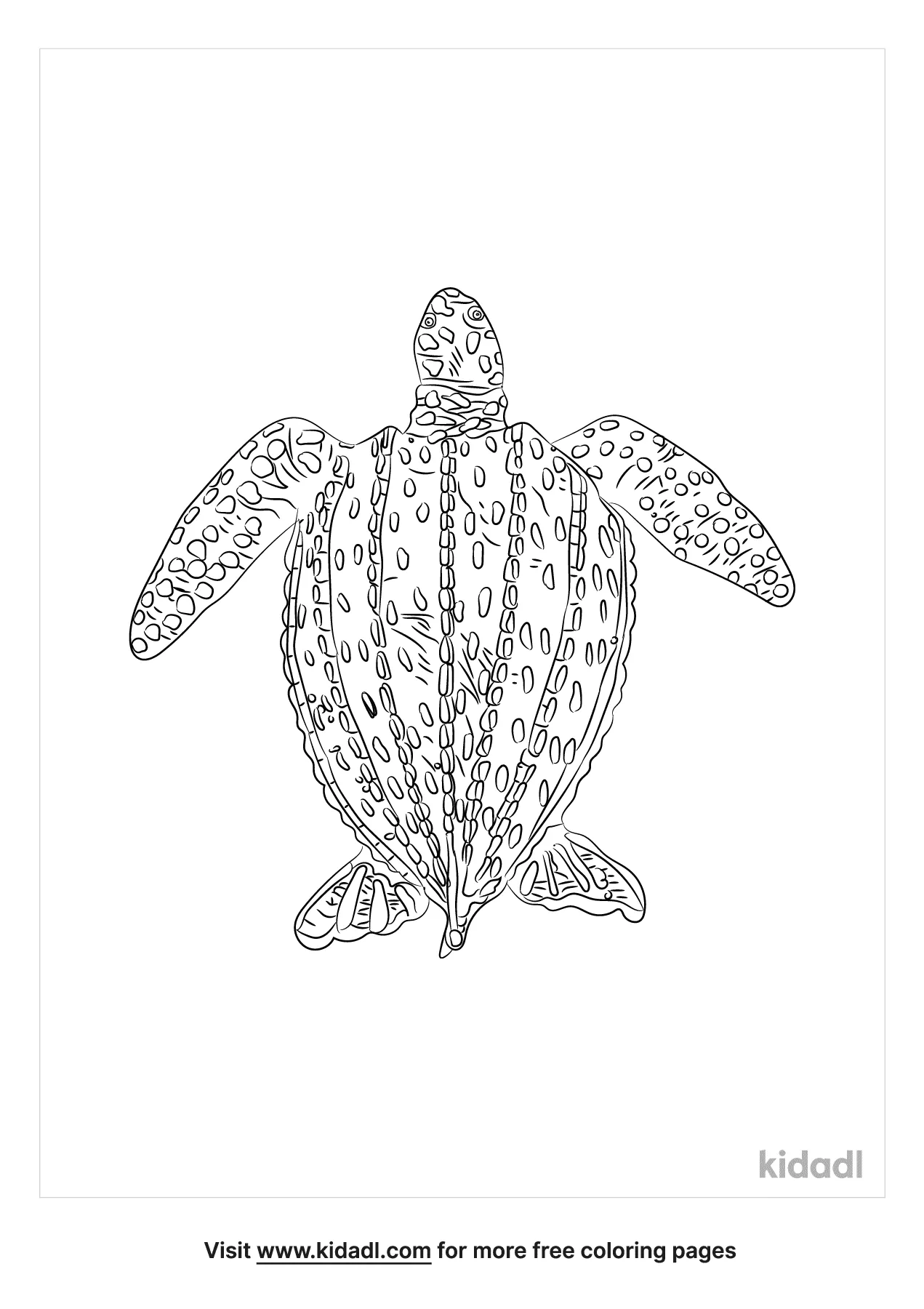 coloring pages of baby sea turtles