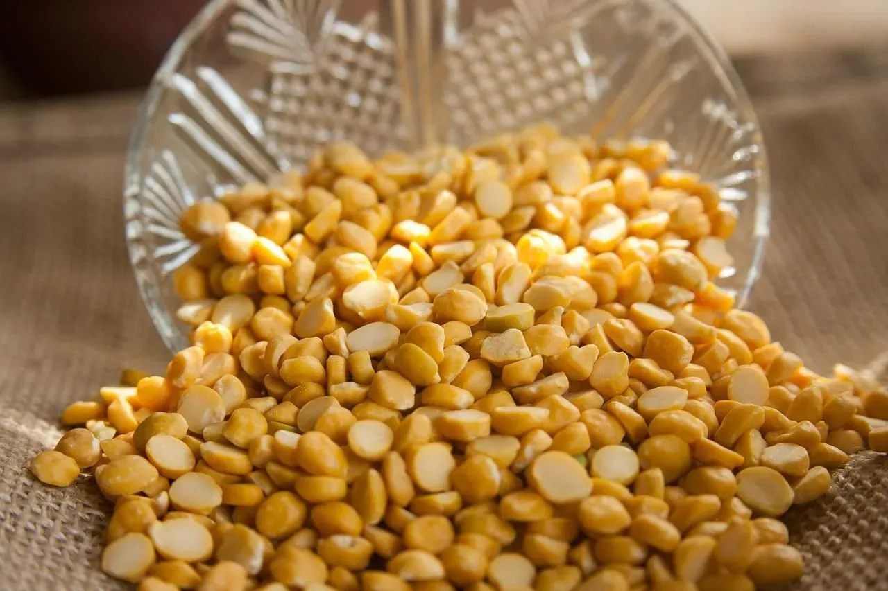 Learn some interesting lentil nutrition facts with us today.