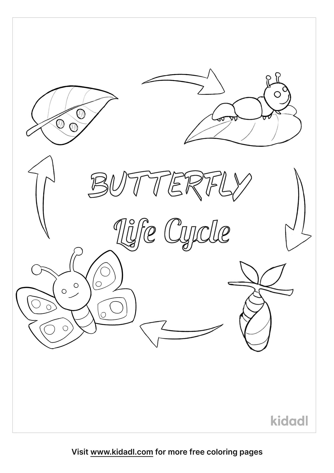 coloring pages butterfly life cycle