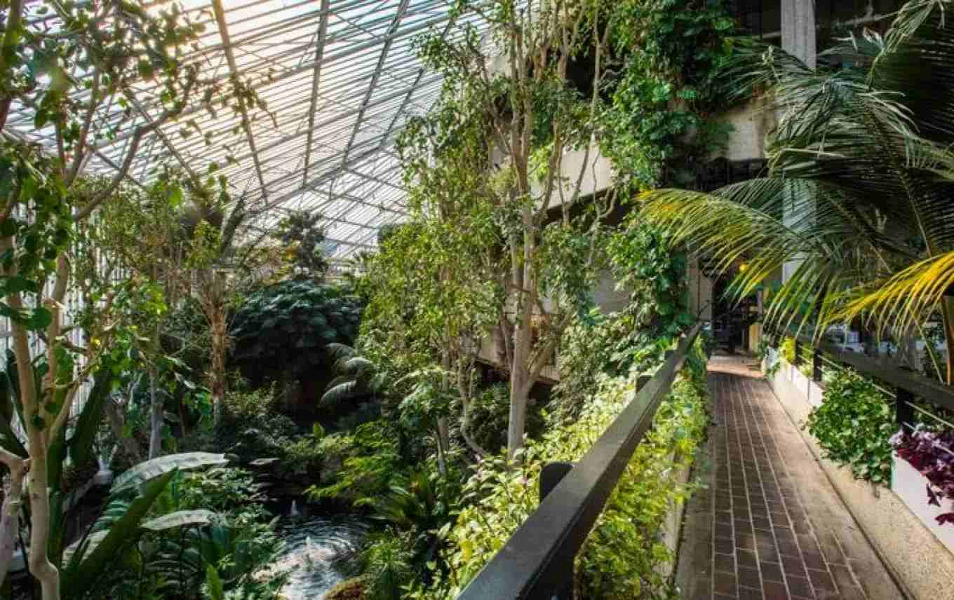 The Barbican Conservatory is a great escape from the hustle and bustle of city life.