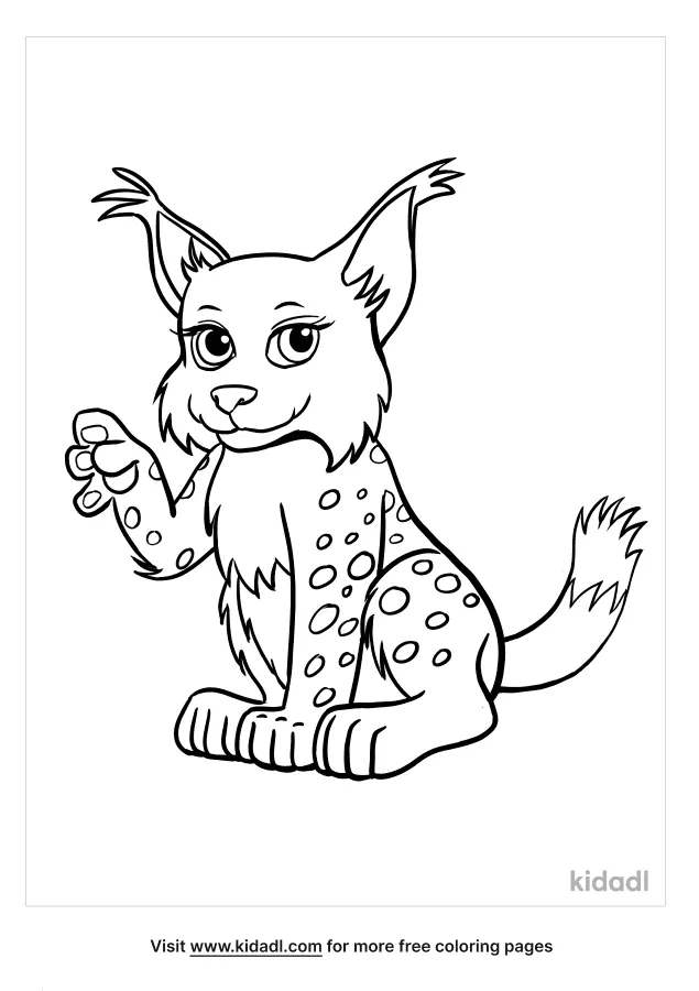 baby lynx coloring pages