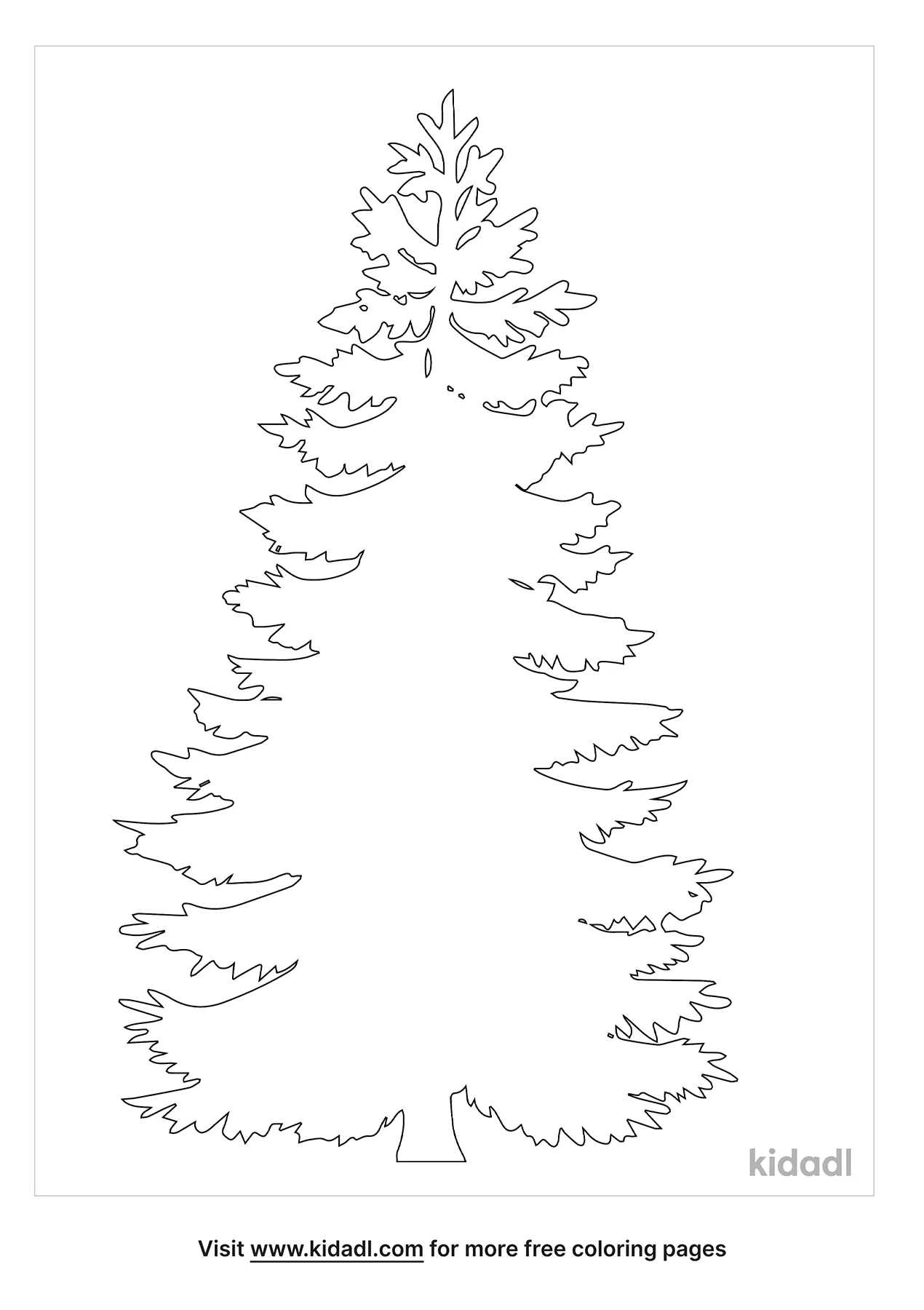 Maine State Tree Coloring Page