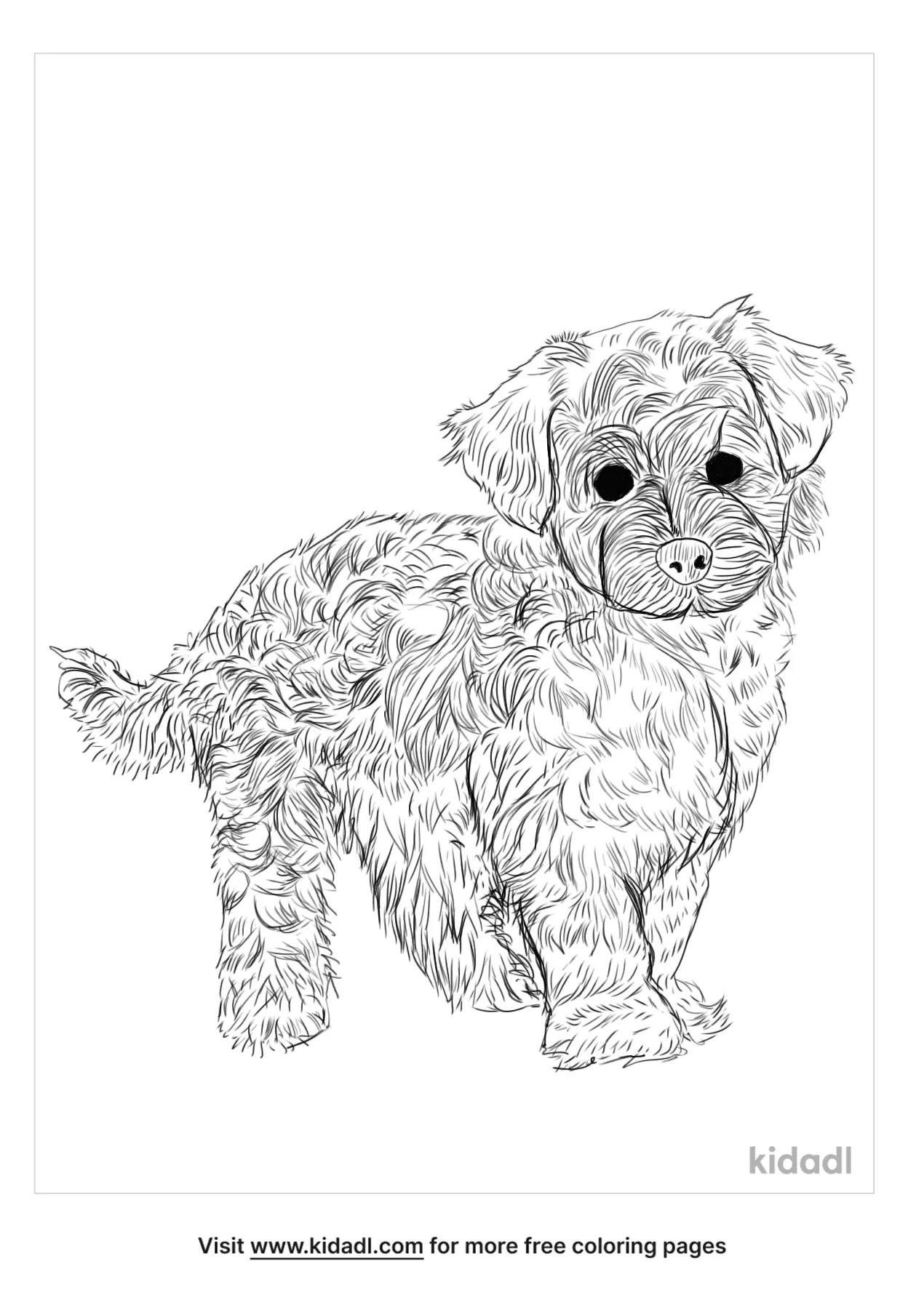 Maltipoo Coloring Page   Free Dogs Coloring Page   Kidadl