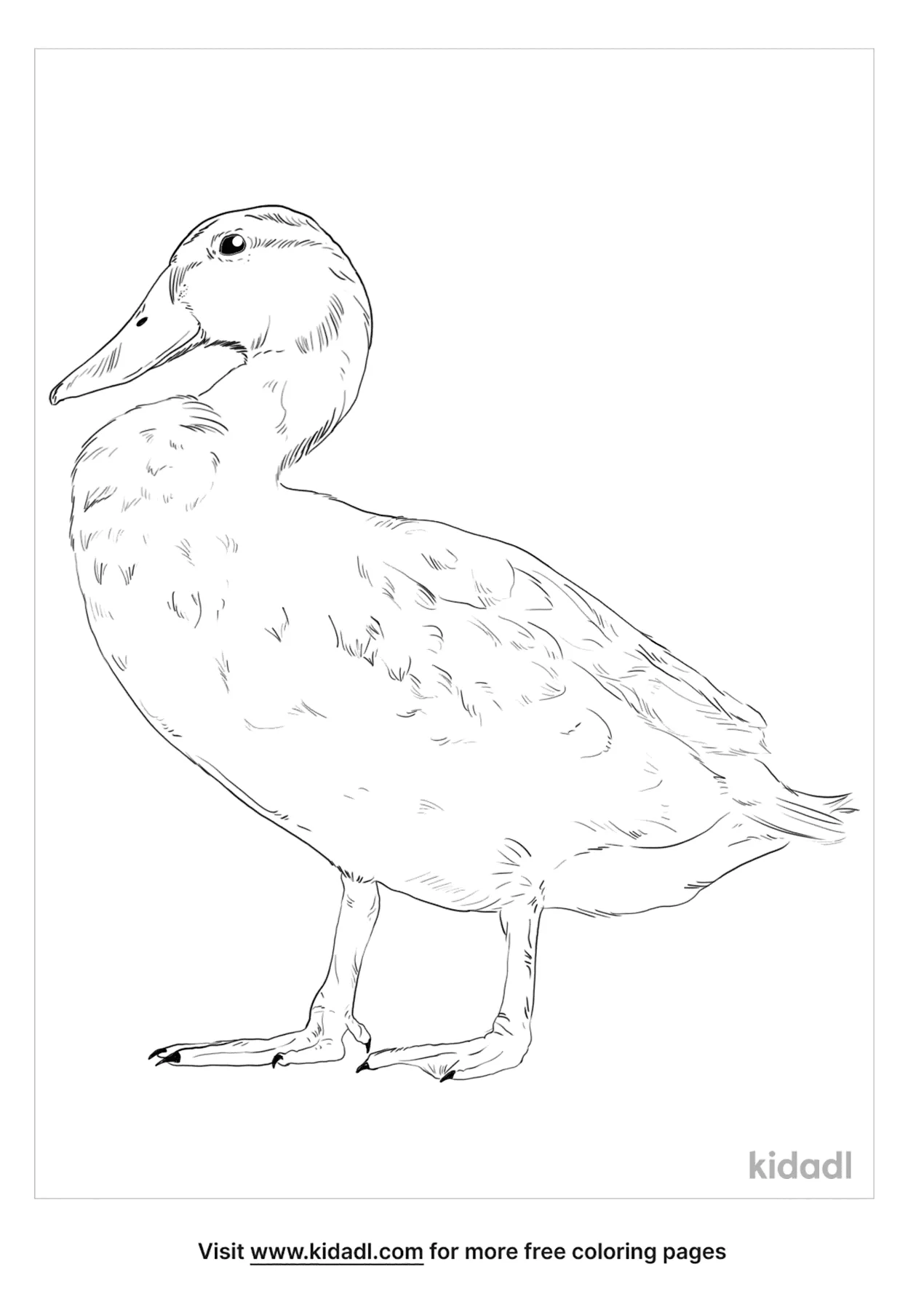 Masked Duck Coloring Page