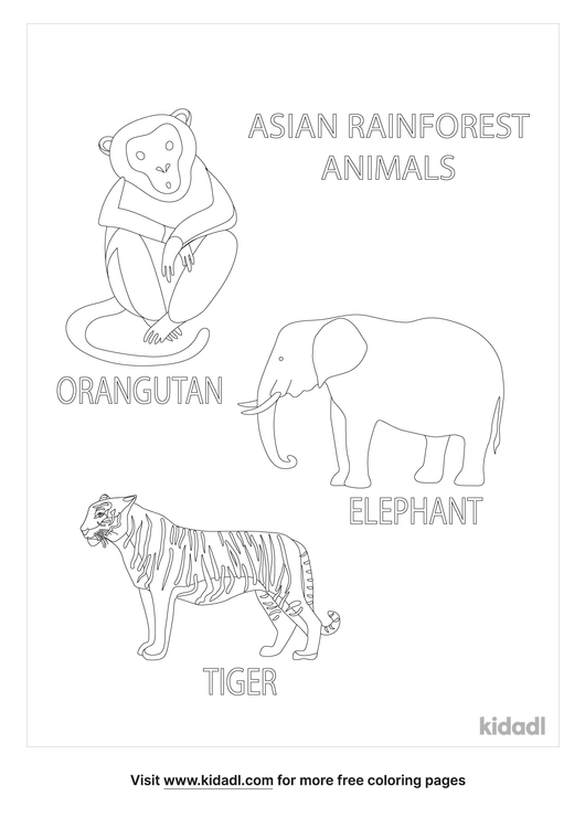 Asian Rainforest Animals Coloring Page | Free Jungle-animals Coloring ...