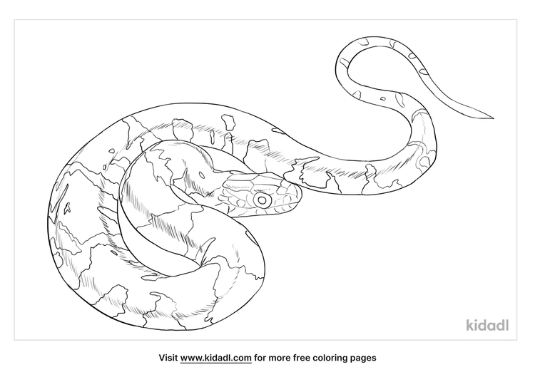 Broad Banded Water Snake Coloring Page Free Reptiles Coloring Page ...