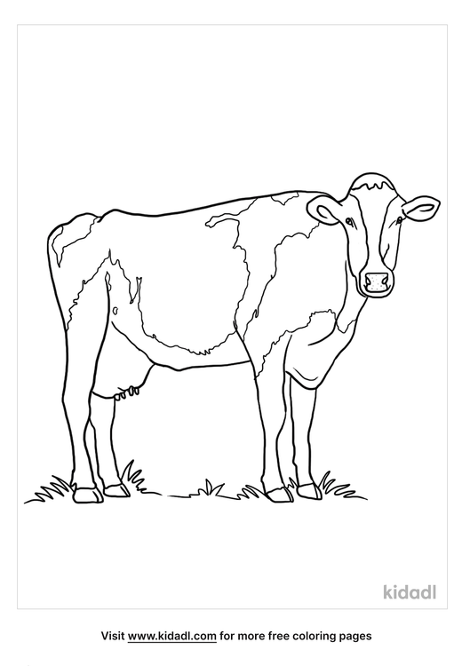 10 Realistic Farm Animal Coloring Pages for Creative Kids