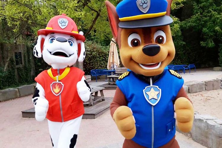 Fremsyn kæmpe stor Konsekvent Paw Patrol Names: Get To Know All The Main Characters!