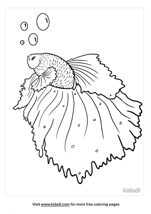 Printable Betta Fish Coloring Page - Merteberte
