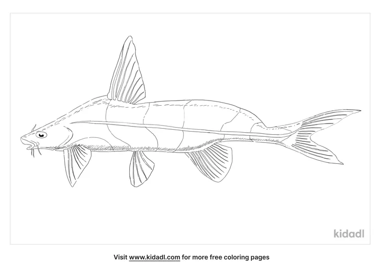 black-lancer-catfish-coloring-page