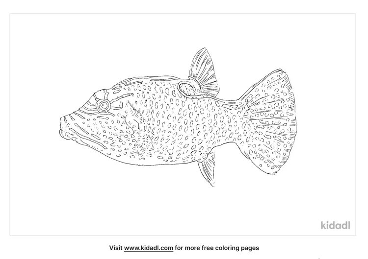 blue-spotted-puffer-coloring-page