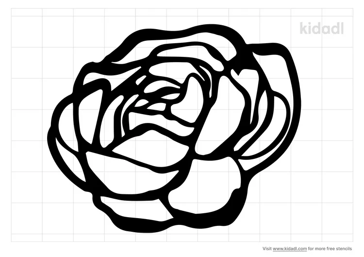 Cabbage Rose Stencils