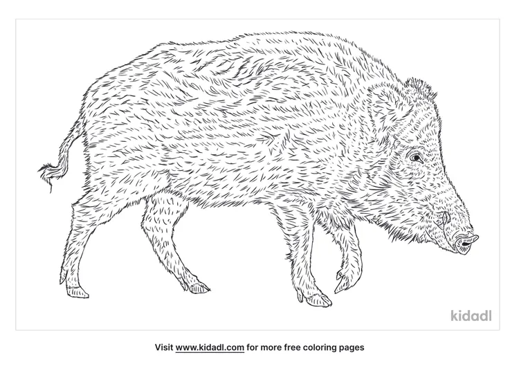 domestic-pig-coloring-page