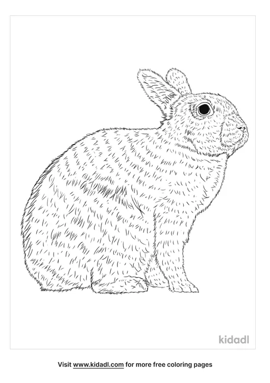 english-spot-rabbit-coloring-page