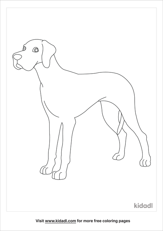 Great Dane Coloring Pages Free Animals Coloring Pages Kidadl