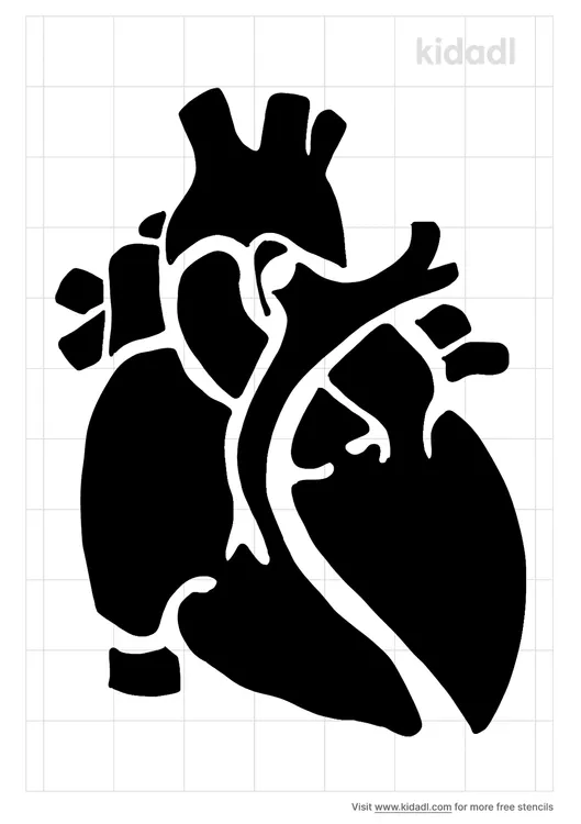 Heart Anatomy Stencils