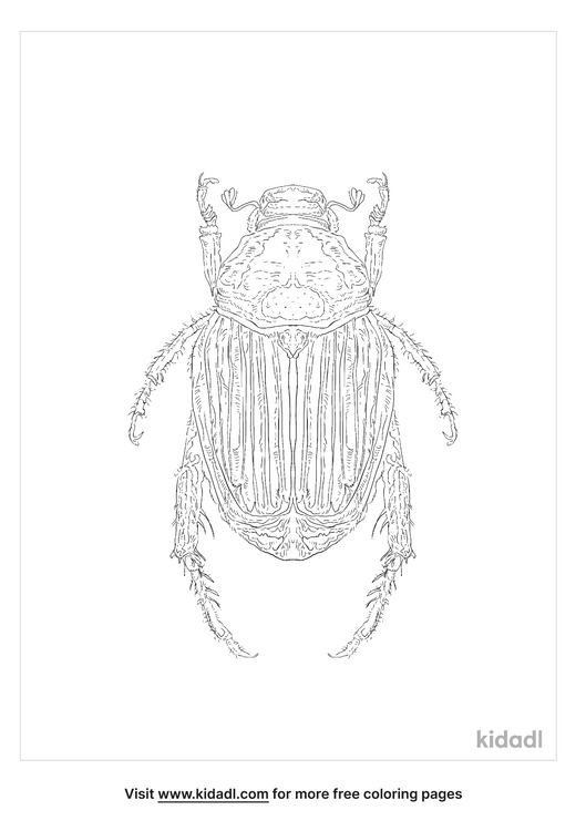 Japanese Beetle Coloring Page | Free Bugs Coloring Page | Kidadl