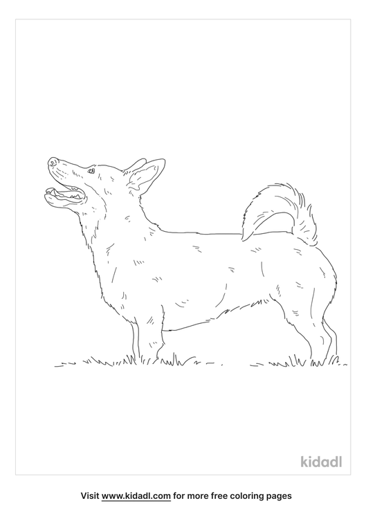 Lancashire Heeler Coloring Pages | Free Animals Coloring Pages | Kidadl