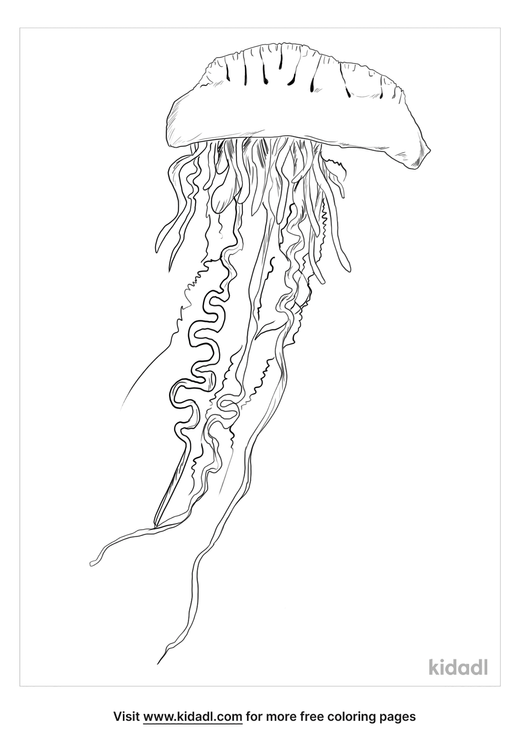 Manowar Jellyfish Coloring Page | Free Sea Coloring Page | Kidadl