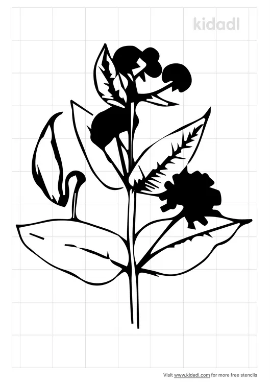 Milkweed Flower Stencils