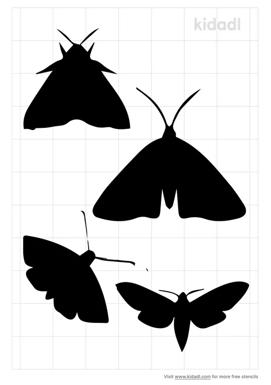 Moth Stencils