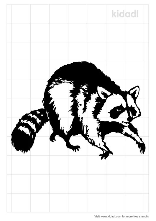 Raccoon Stencils