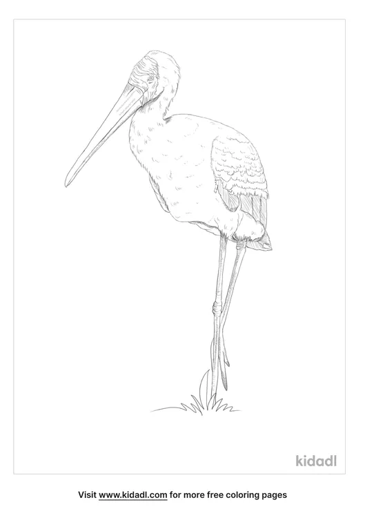 yellow-billed-stork-coloring-page