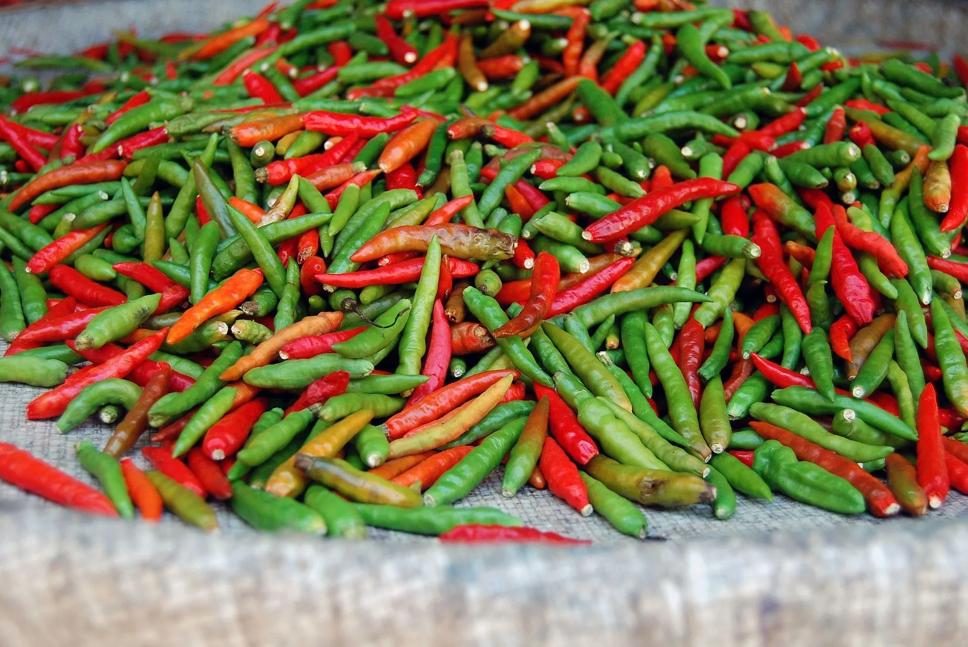 How Hot Are Serrano Peppers? Spicy Scales Explained For Kids