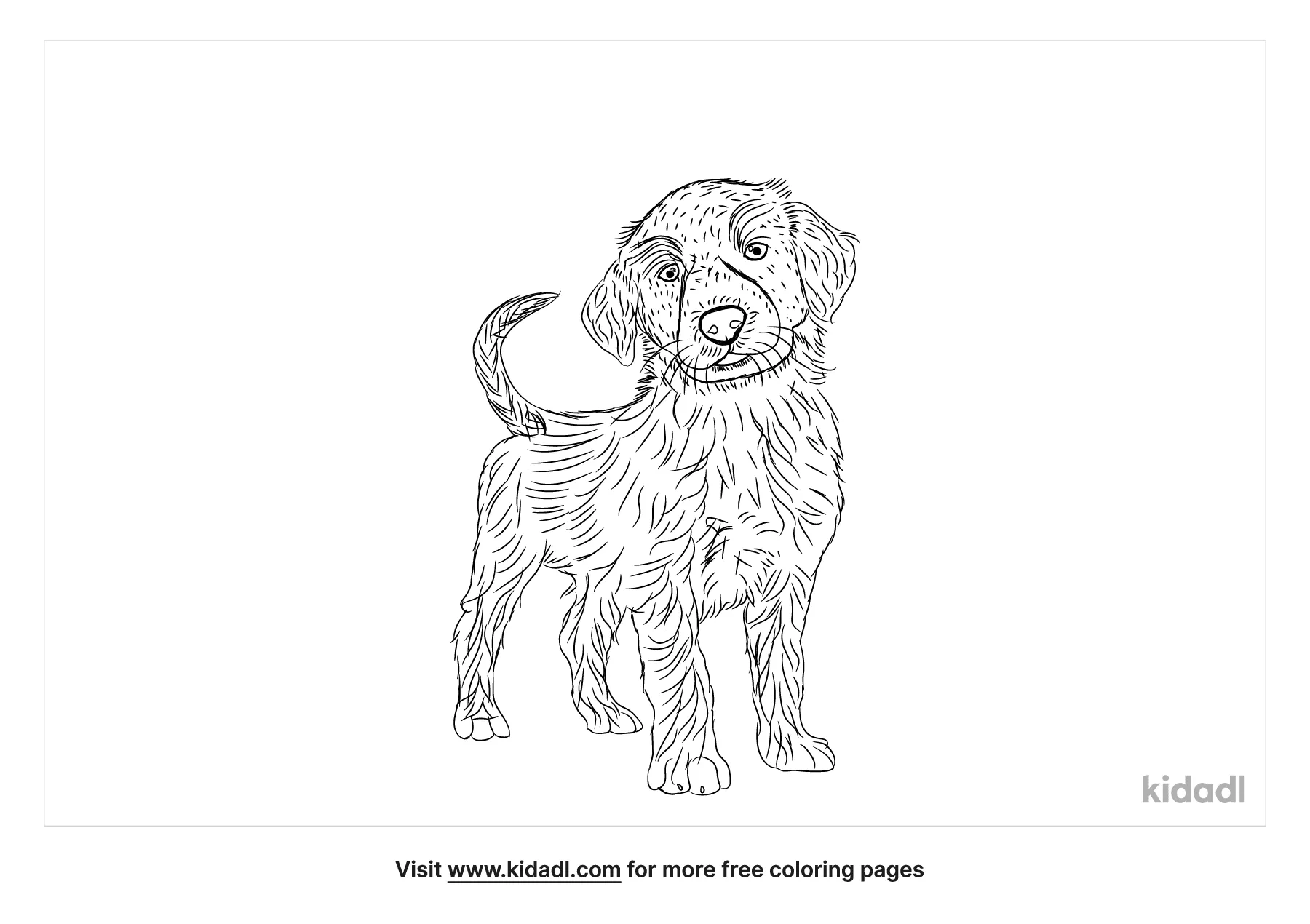 golden retriever coloring pages free