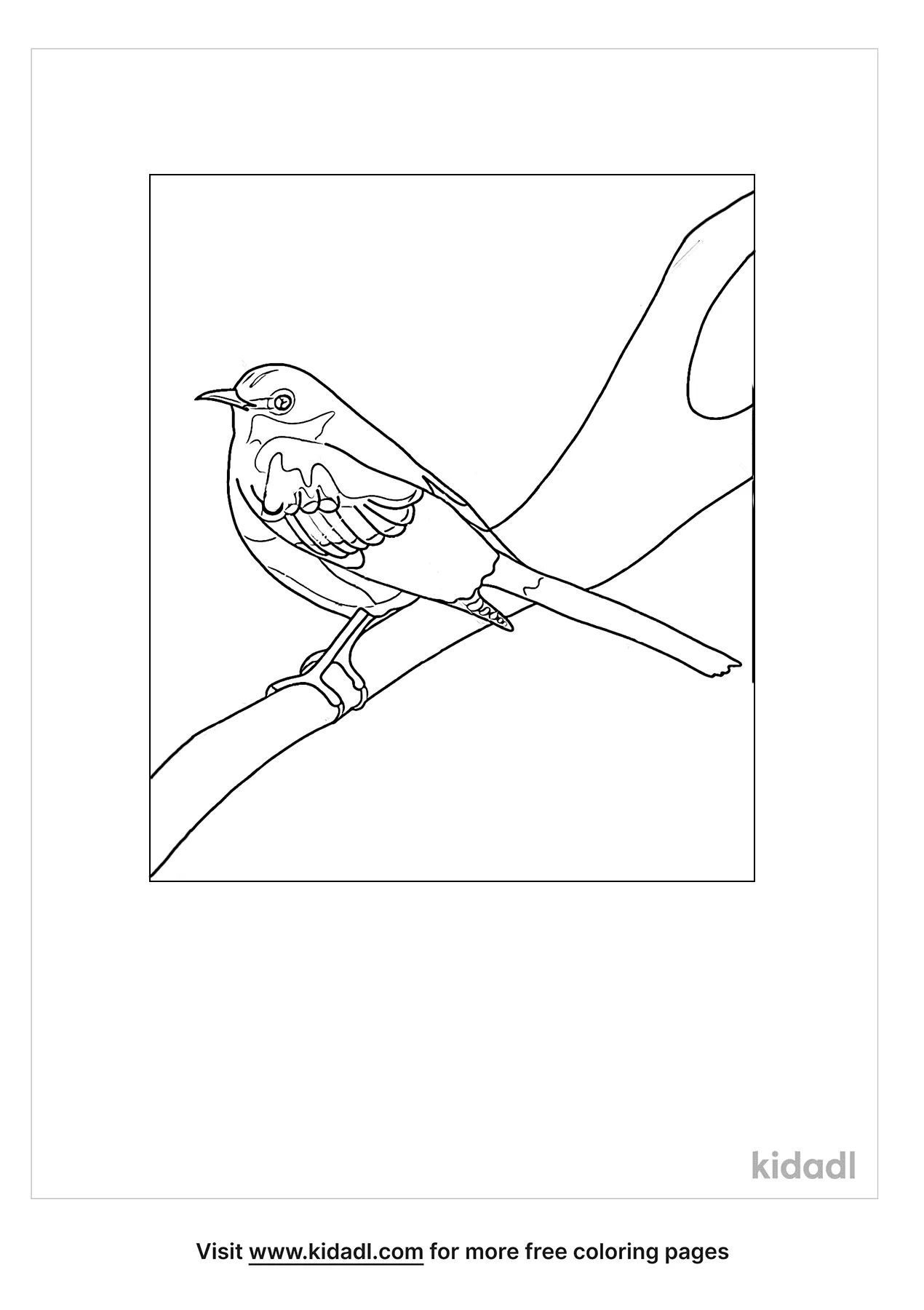 Mockingbird Coloring Pages Free Birds Coloring Pages Kidadl