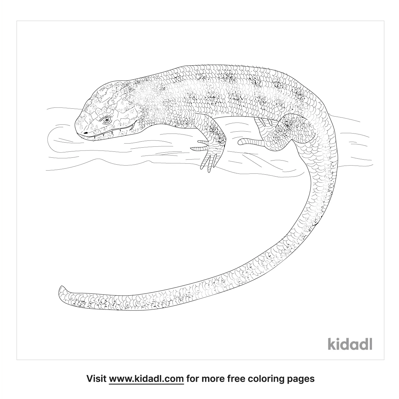 coloring pages skinks