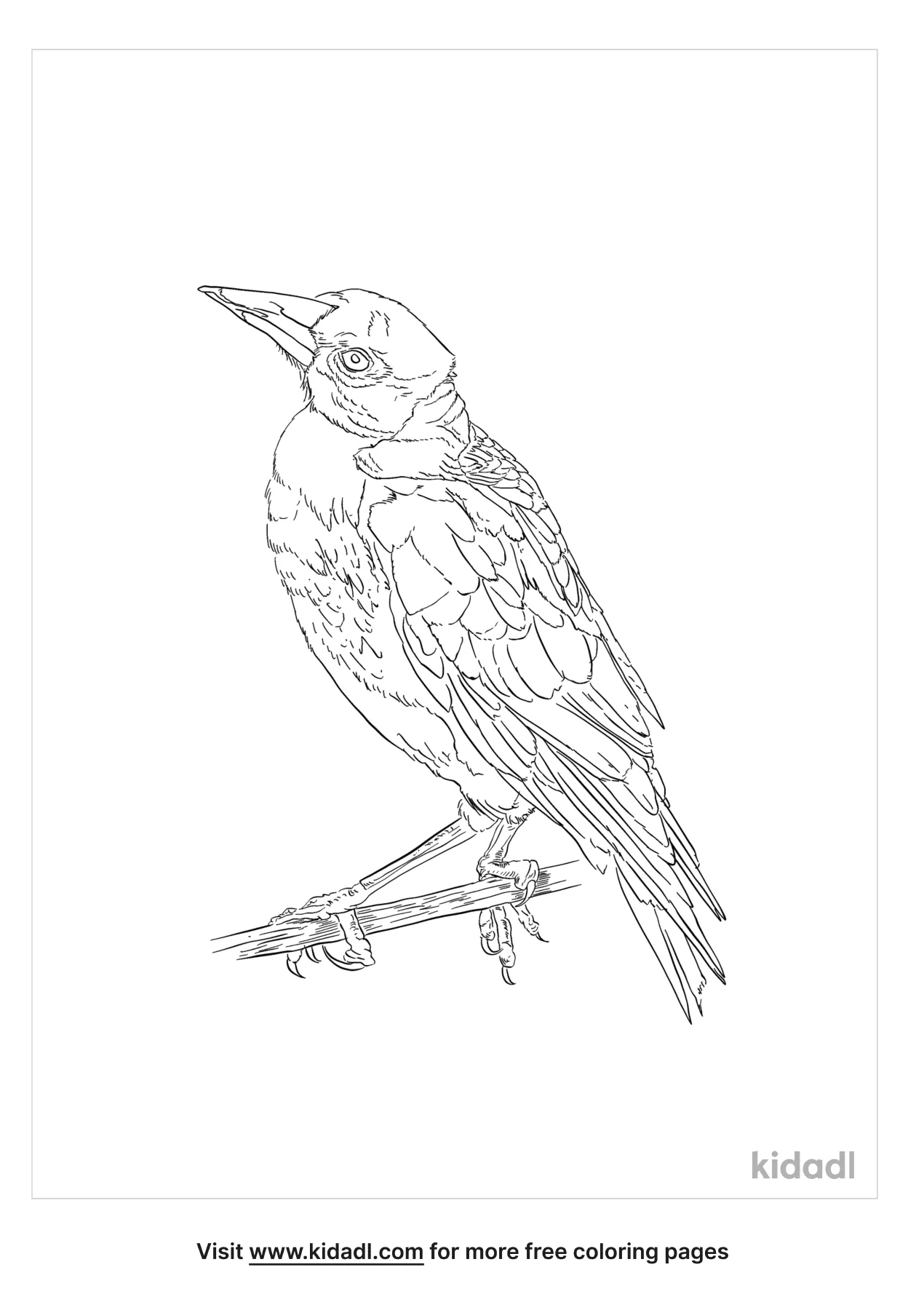 Morningbird Coloring Page