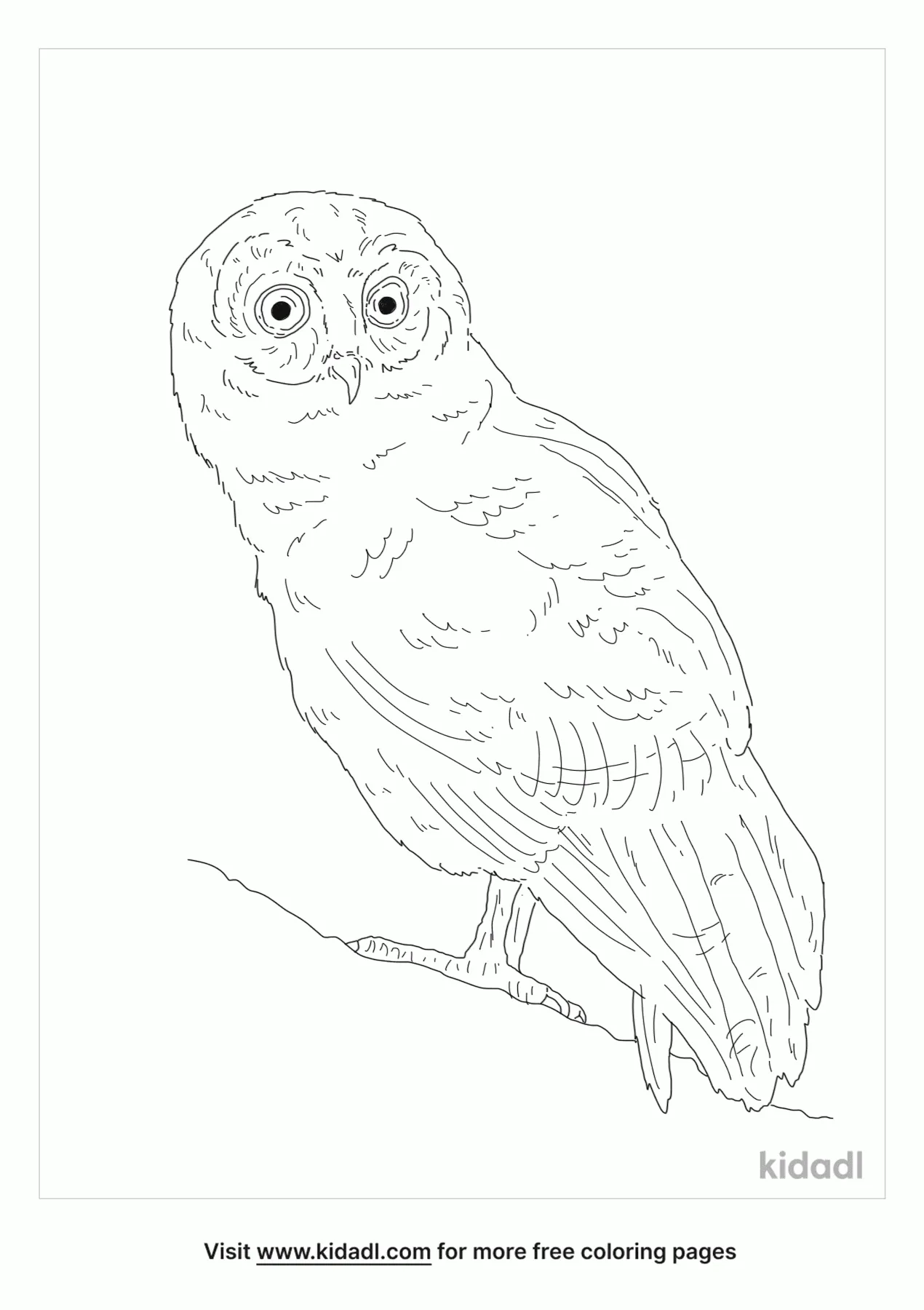 Mottled Wood Owl Coloring Page