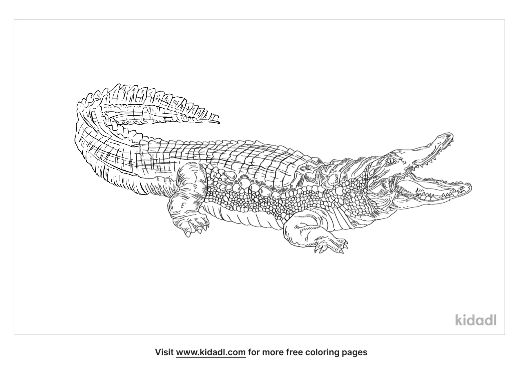 vector the crocodile coloring pages