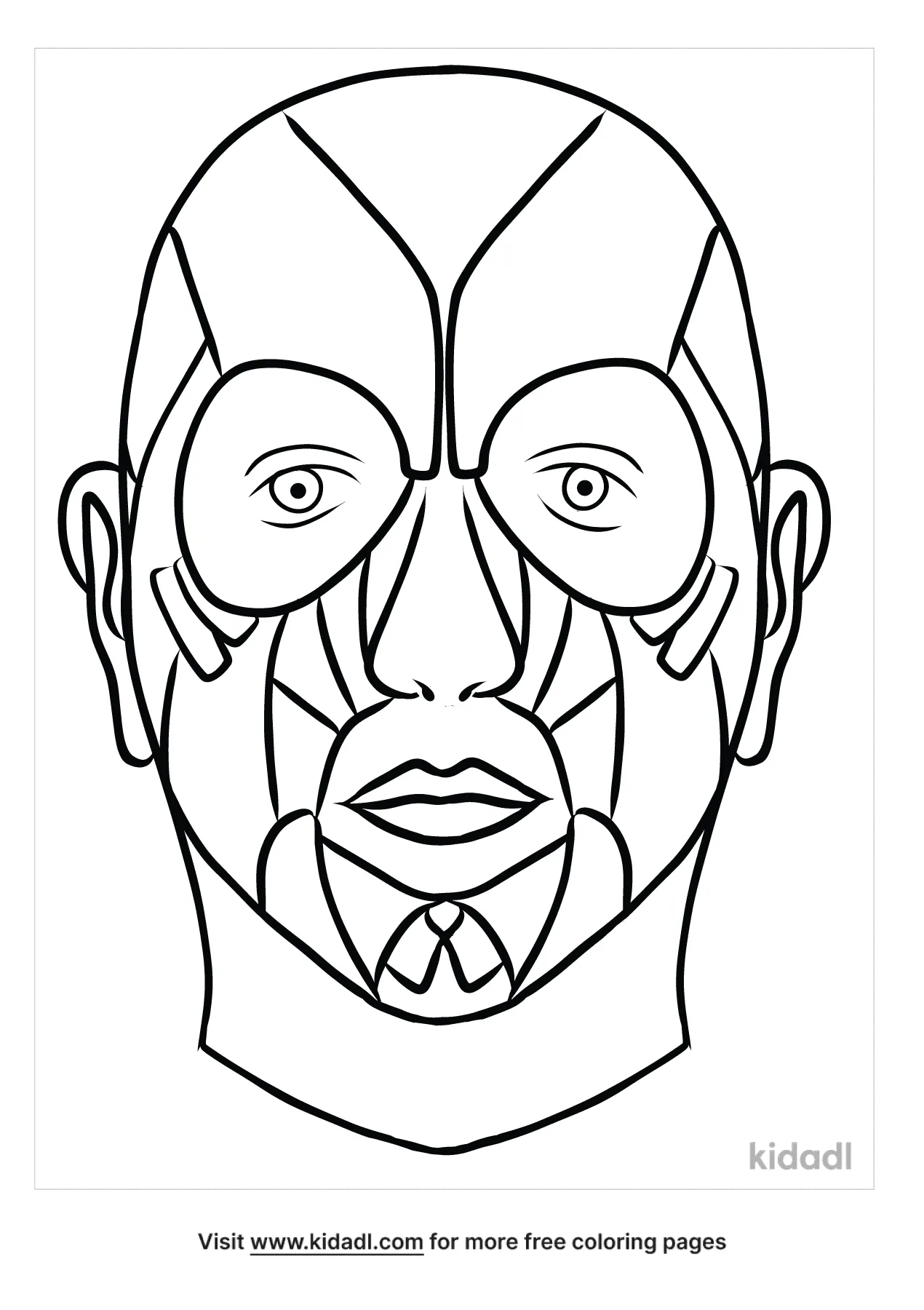 Muscles Of Facial Expression Coloring Page