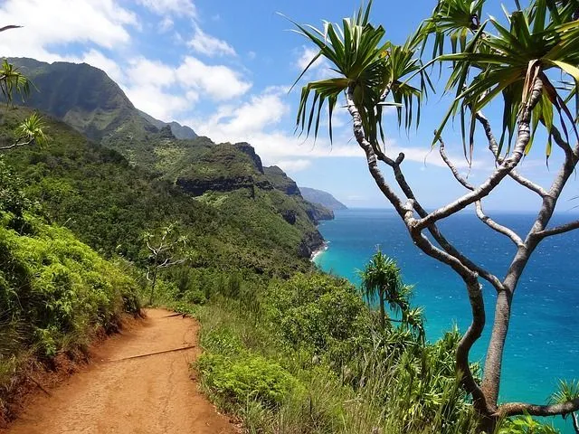 View of Napali Coast in Hawaii