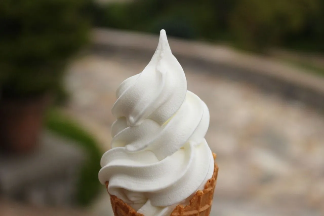 National Soft Ice Cream Day is to enjoy a soft serve with your friends and family.