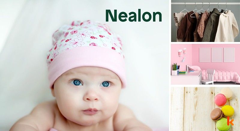 Meaning of the name Nealon