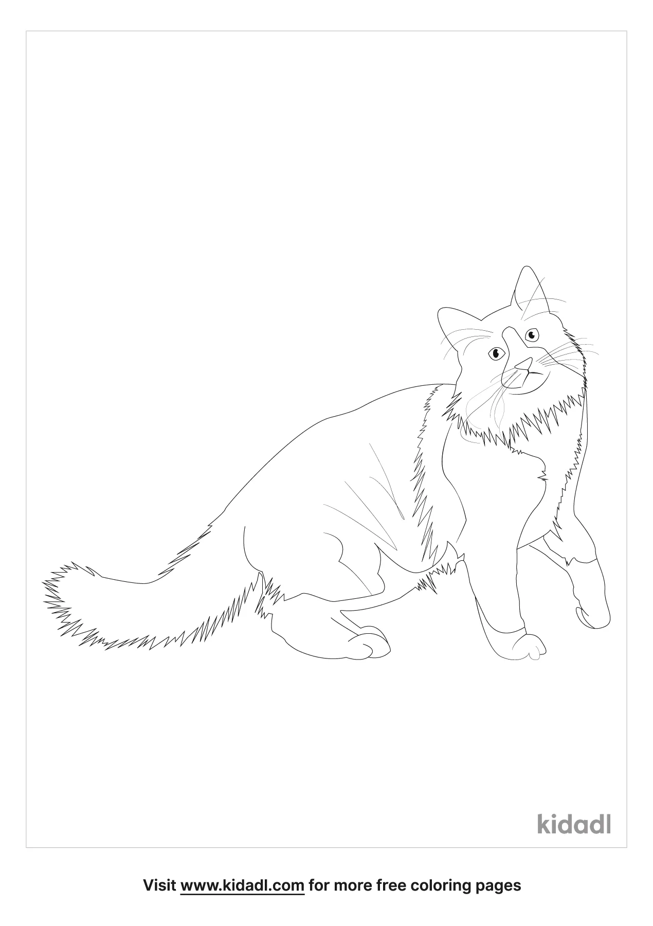 Norwegian Forest Cat Coloring Page